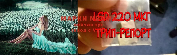 гидропоника Балабаново