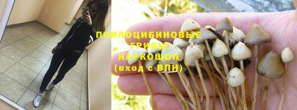гидропоника Балабаново