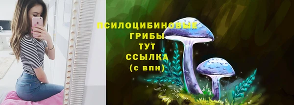 СК Баксан