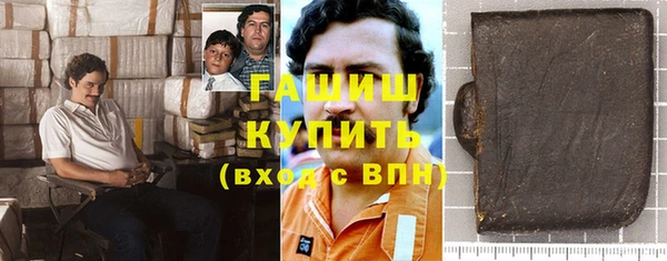 гашик Ветлуга