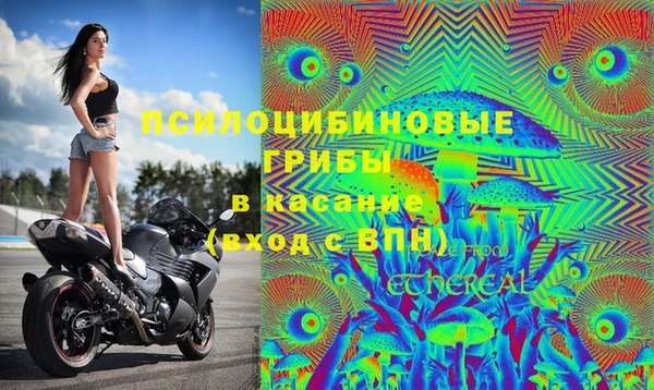 гидропоника Балабаново